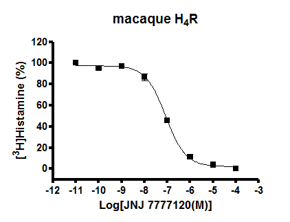 macaque H4R binding